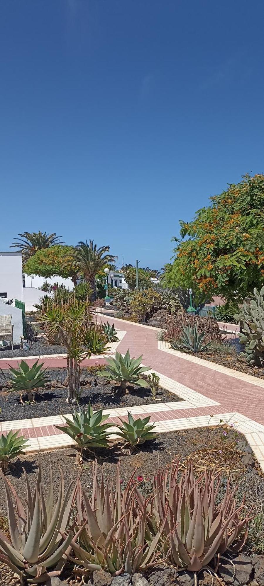 Casa Gioeli Cocosol Villa Costa De Antigua Exteriör bild