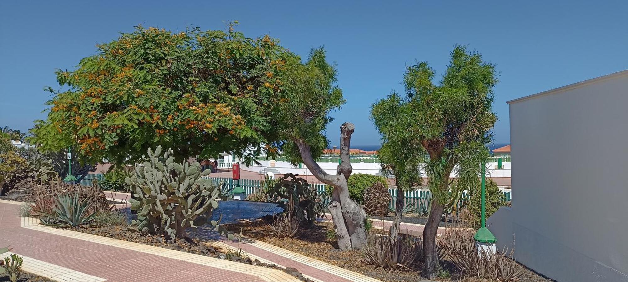 Casa Gioeli Cocosol Villa Costa De Antigua Exteriör bild